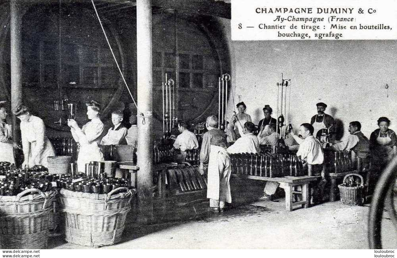 51 CHAMPAGNE DUMINY AY CHANTIER DE TIRAGE MISE EN BOUTEILLES BOUCHAGE AGRAFAGE - Weinberge