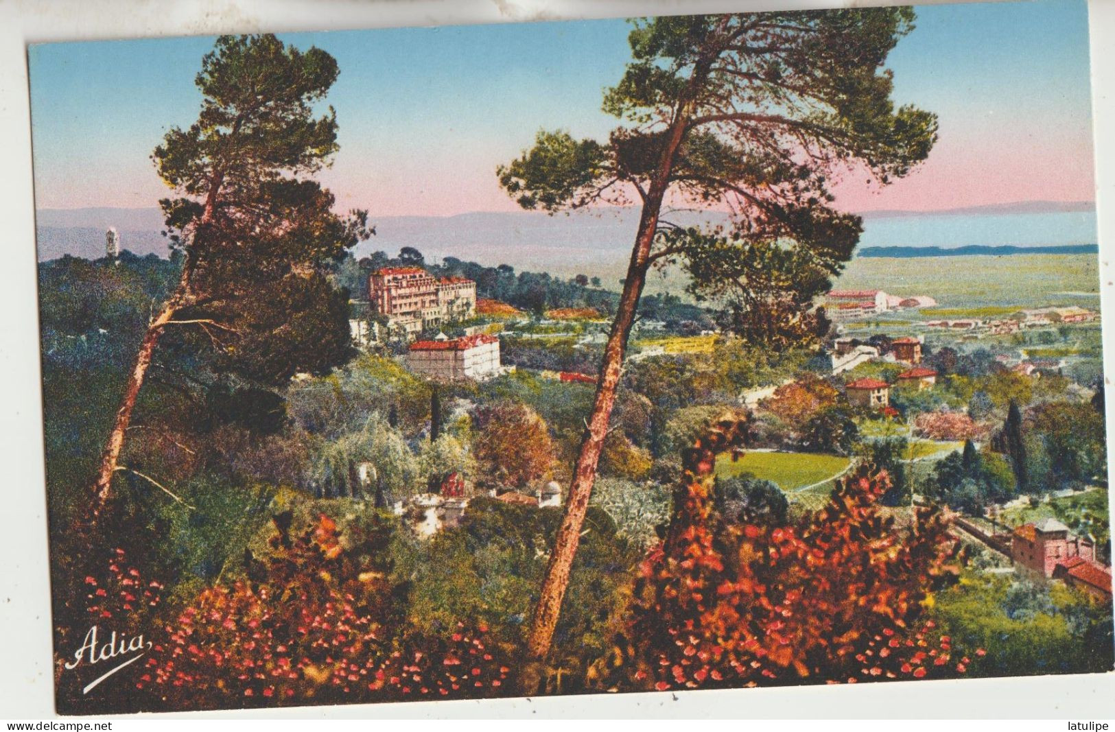 Hyeres Les Palmiers  83  Carte Non Circulé-Costabelle Et L'Hermitage Belle Vue - Hyeres