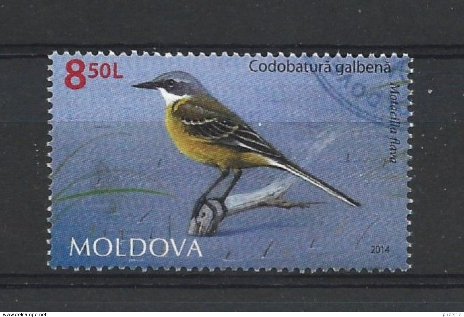 Moldova 2014 Bird Y.T. 774 (0) - Moldavia