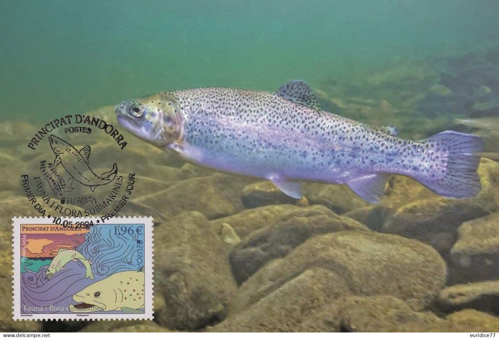 Andorra Française 2024 - Europa Fauna I Flora Submarines Carte Maximum - Timbres De Distributeurs [ATM]