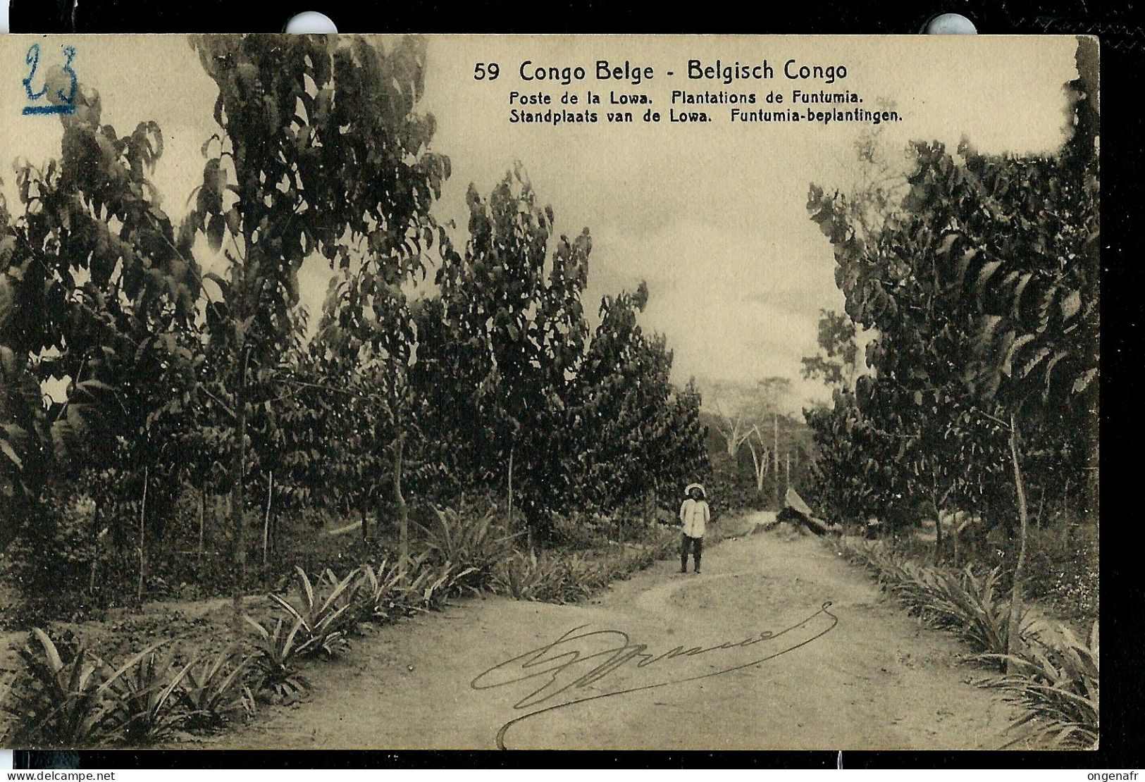 Carte Avec Vue: N° 43 - 59 ( Poste De La Loua - Plantations De Funtumia) Obl.: 1913 - Ganzsachen