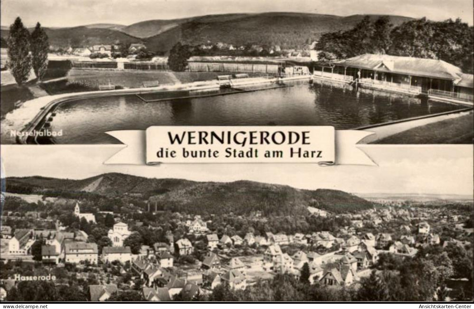 50457911 - Wernigerode - Wernigerode