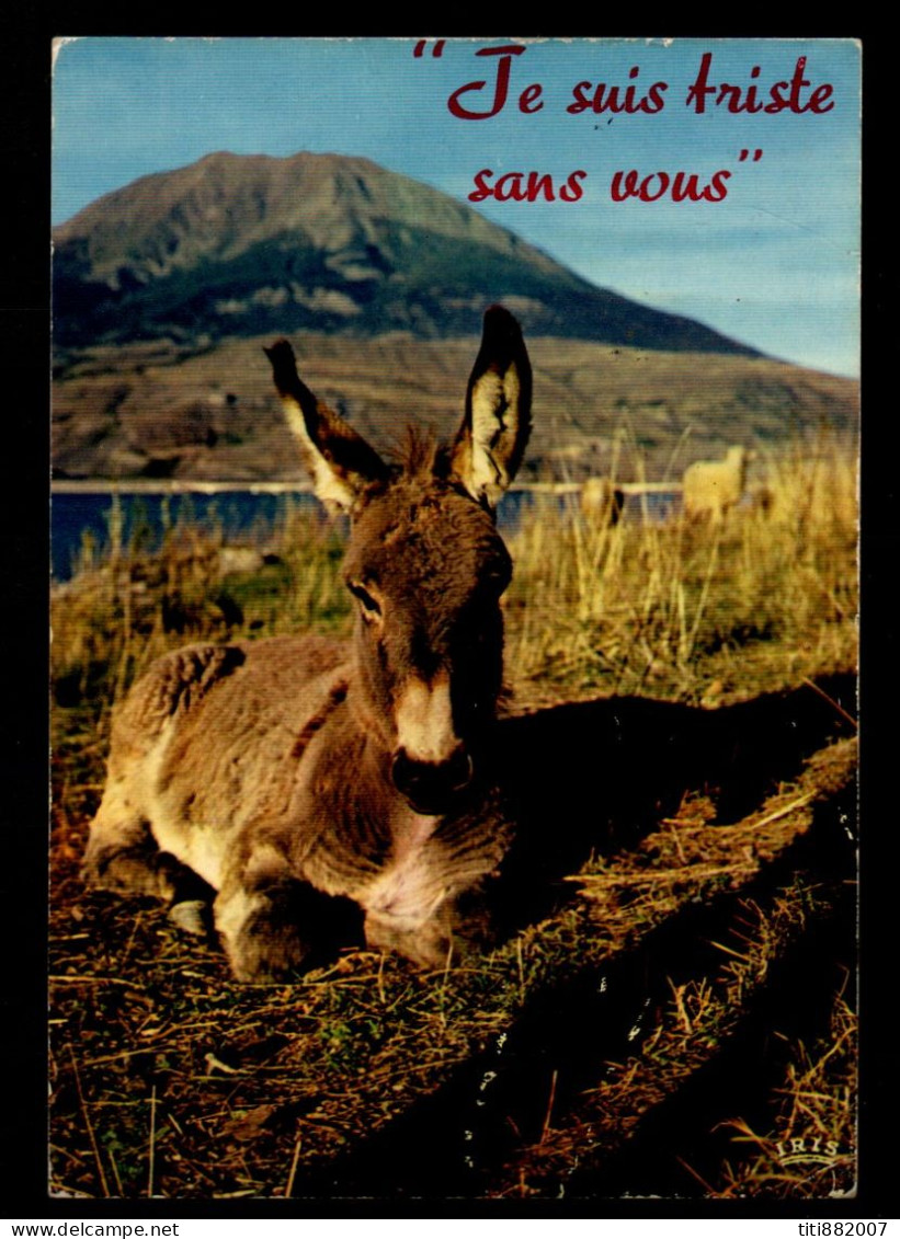 SUISSE   -    1972 .   Je Suis Triste Sans Vous, Dit  L' âne .Pour Marseille - Donkeys