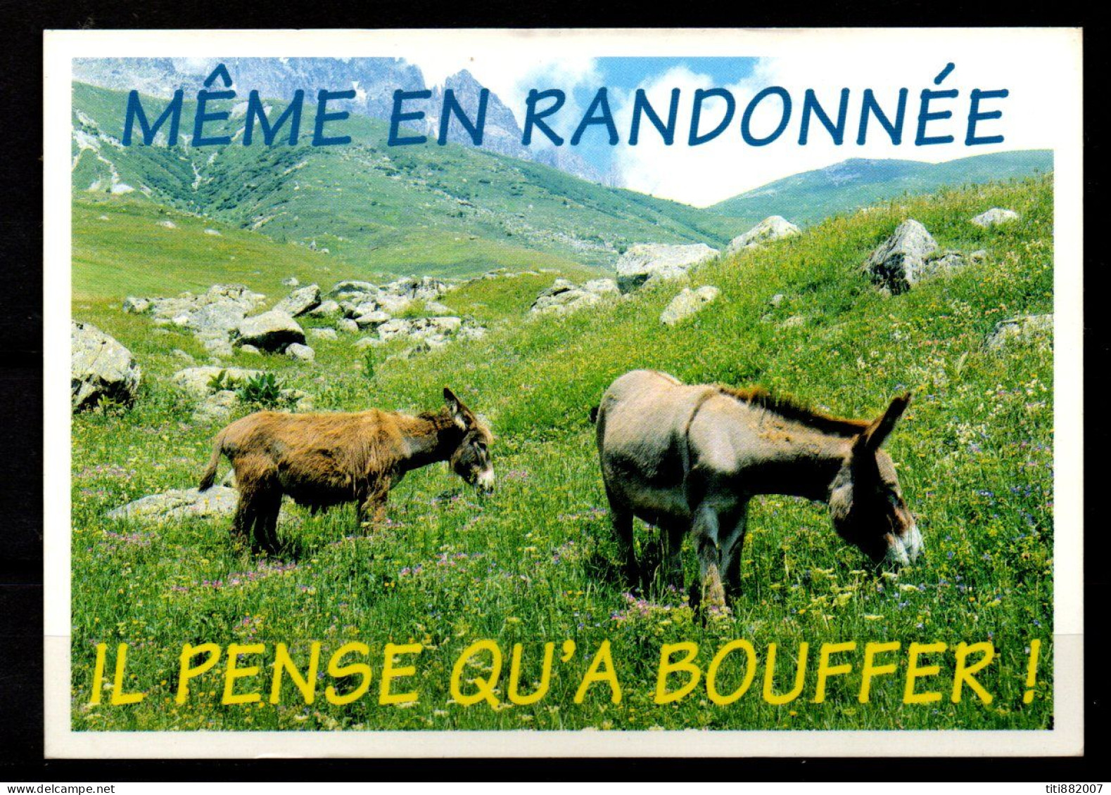 FRANCE   -   2007 .  ânes.   Même En Randonnée, Il Pense Qu'à Bouffer. - Anes