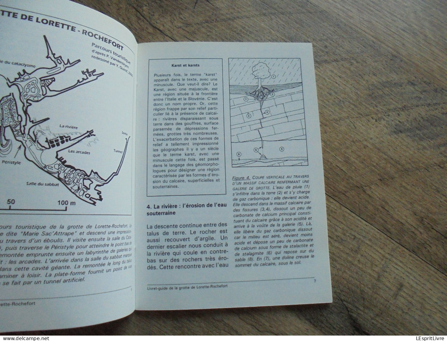 LA GROTTE DE LORETTE Rochefort Régionalisme Spéléologie Spéléologue Caverne Grottes Schéma Structure - Belgique
