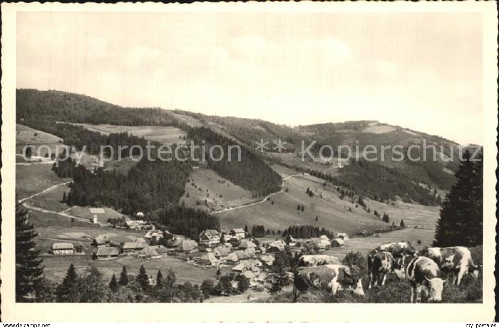 72500082 Menzenschwand Vorderdorf Menzenschwand - St. Blasien