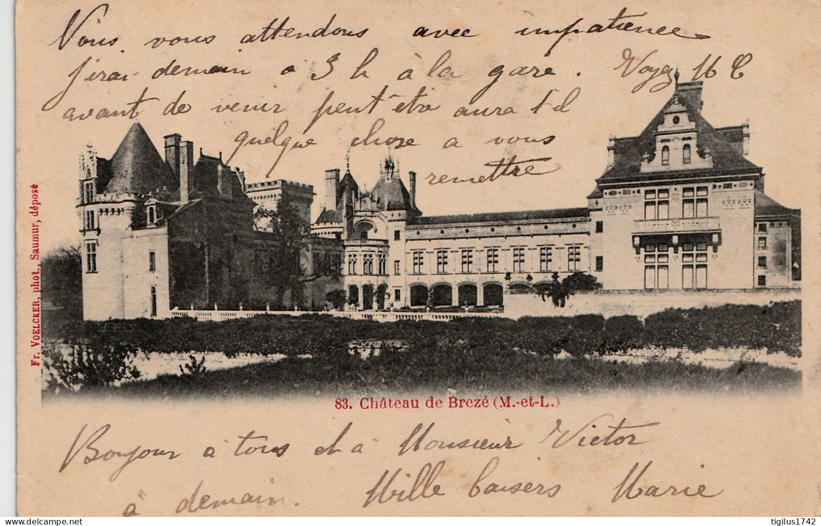 Château De Brezé - Autres & Non Classés