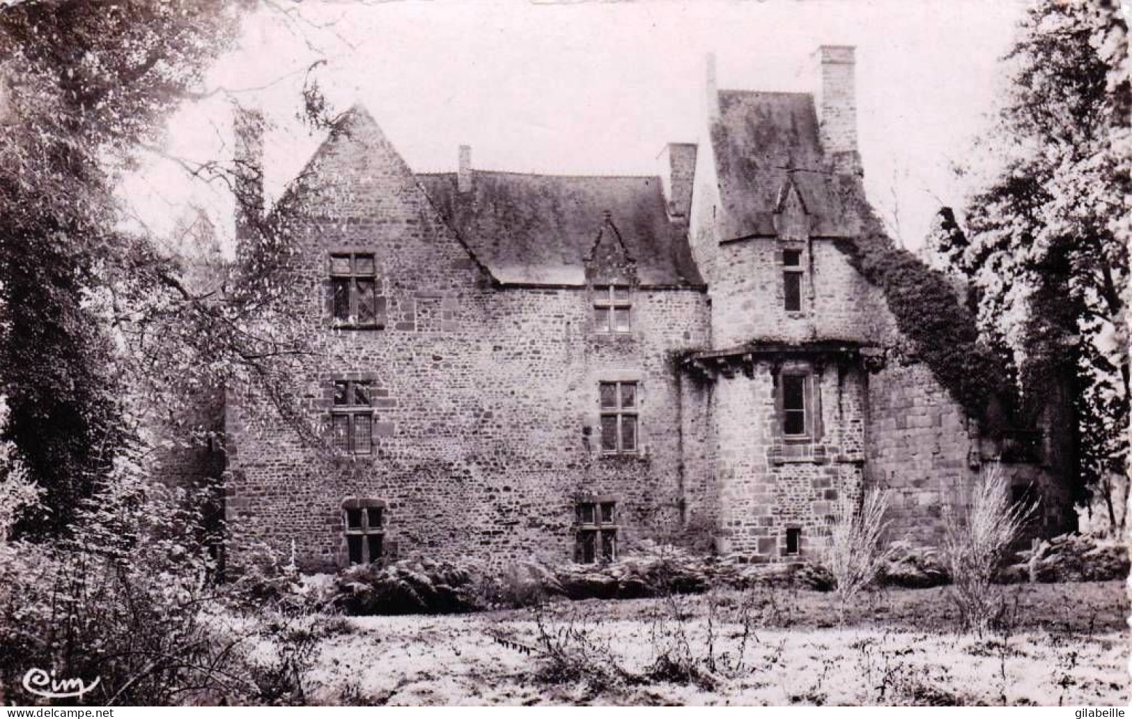 53 - Mayenne -  PONTMAIN - Chateau De Mausson - Pontmain