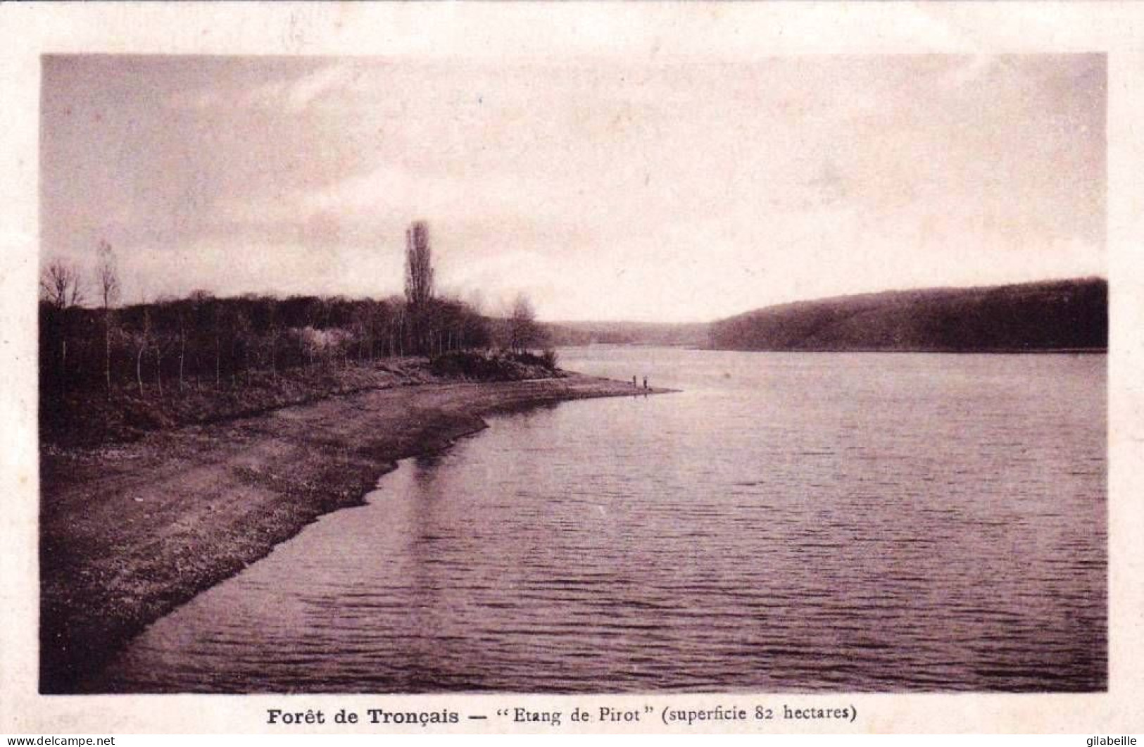 03 - Allier -  Foret De TRONCAIS -  Etang De Pirot - Other & Unclassified