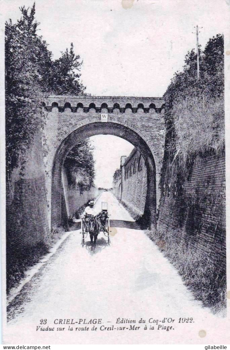 76 - Seine Maritime -  CRIEL PLAGE ( Criel Sur Mer ) - Viaduc Sur La Route De Criel Sur Mer A La Plage - Criel Sur Mer