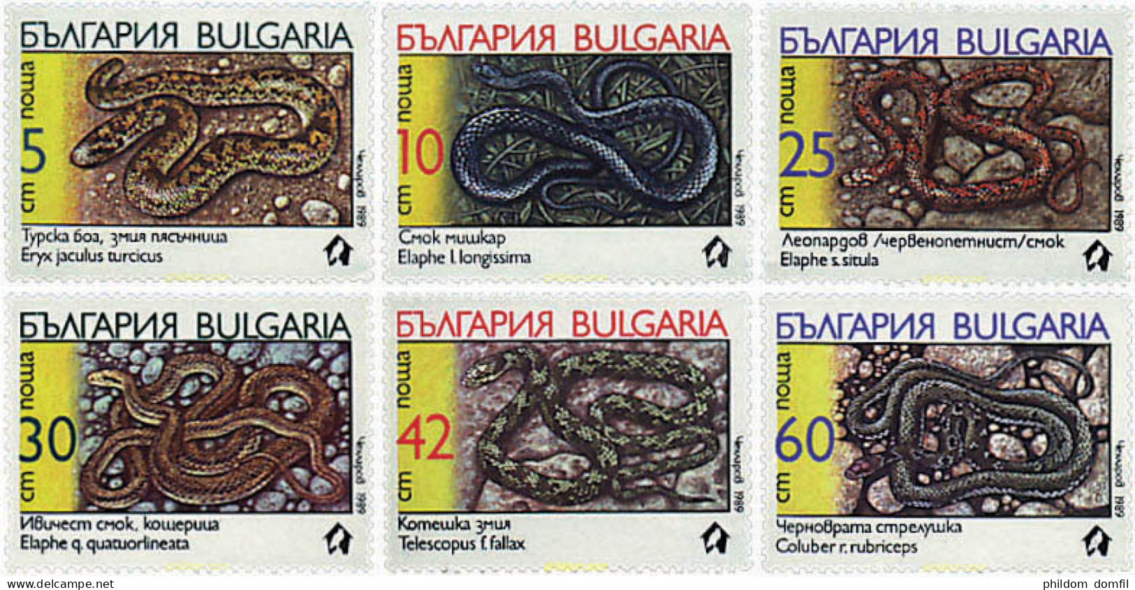 82509 MNH BULGARIA 1989 SERPIENTES - Ungebraucht