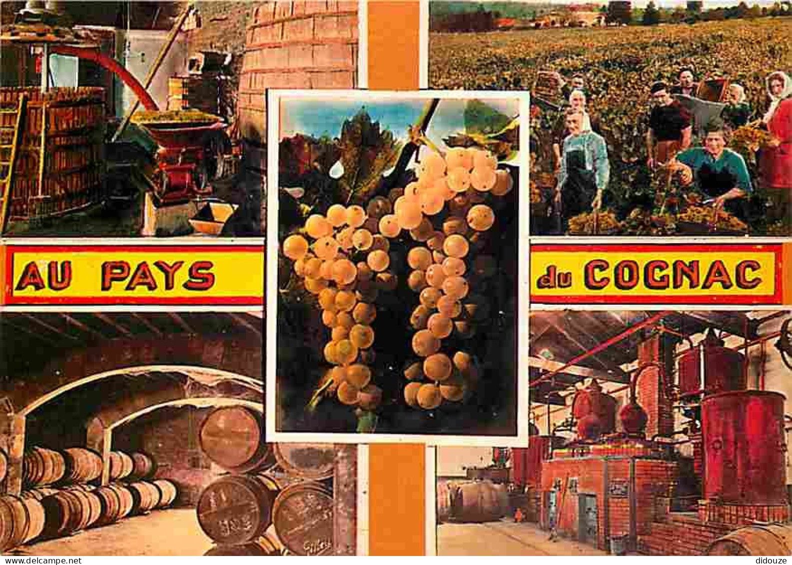 Vignes - Au Pays Du Cognac - Multivues - Distillerie - Vendanges - Chais De Vieillissement - CPM - Voir Scans Recto-Vers - Vignes