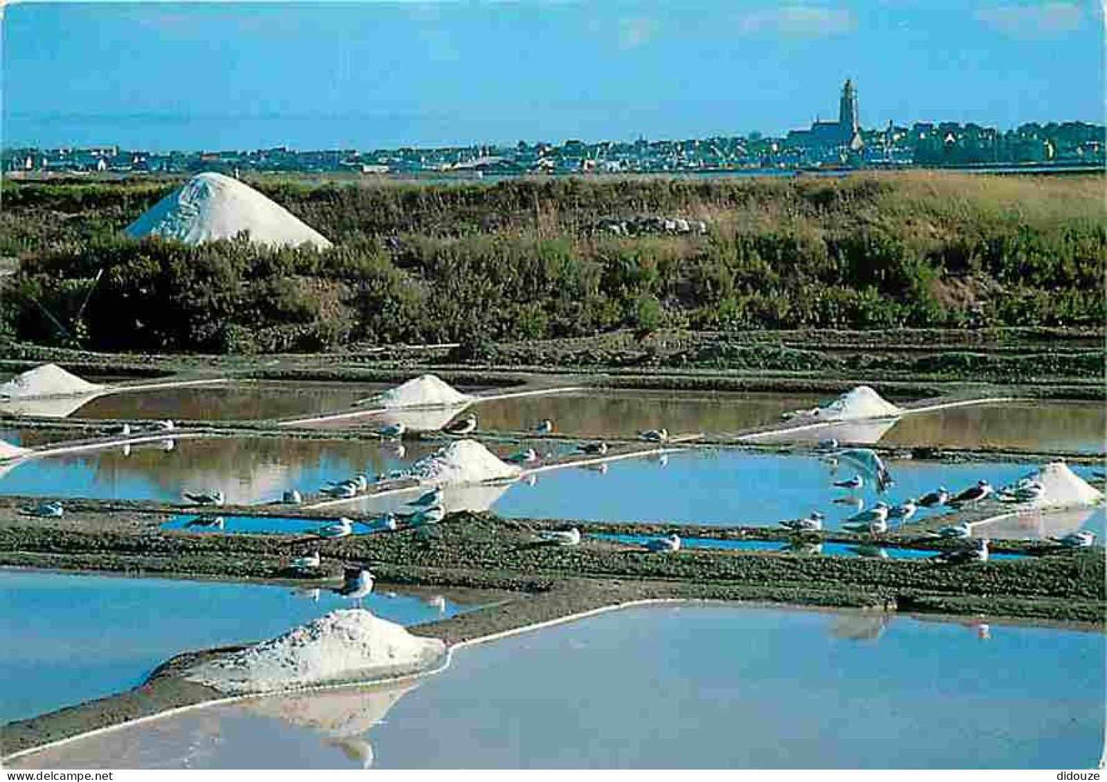 Metiers - Marais Salants - Saliculture - Saliculteurs - Sauniers - Paludiers - Presqu'île De Guérande - Les Marais Salan - Other & Unclassified