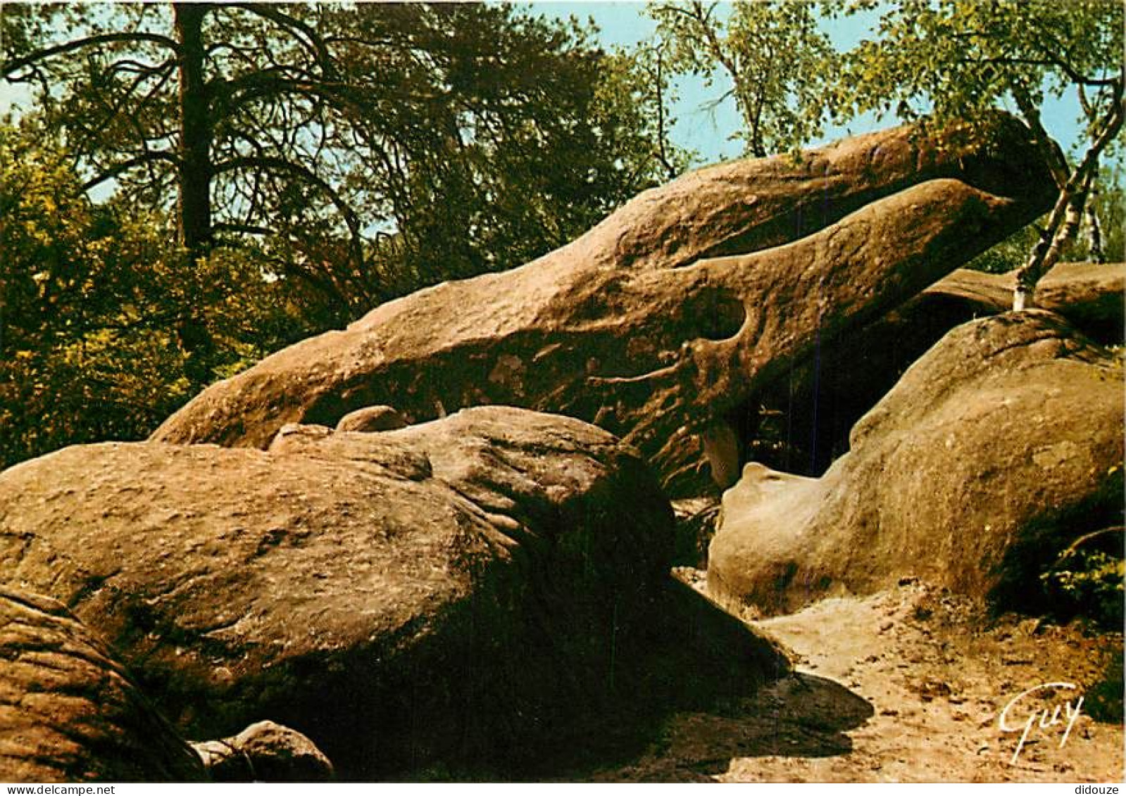 77 - Fontainebleau - Forêt De Fontainebleau - Dans Les Gorges De Franchard : Le Crocodile - Curiosité Géologique - CPM - - Fontainebleau
