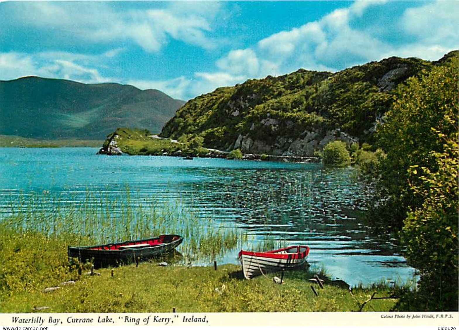 Irlande - Kerry - Ring Of Kerry - Waterlilly Bay, Currane Lake - Carte Neuve - Ireland - CPM - Voir Scans Recto-Verso - Kerry