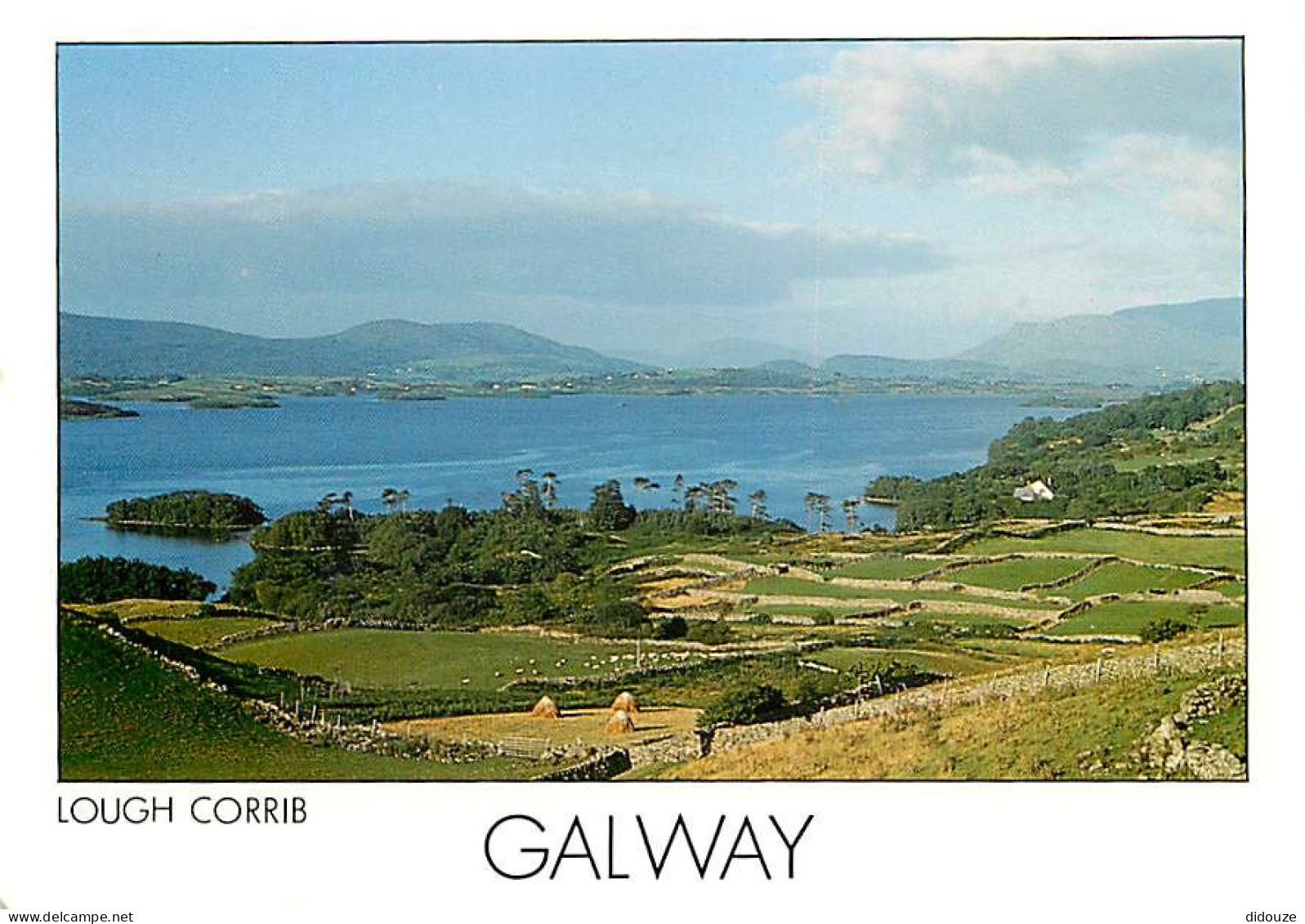 Irlande - Galway - Lough Corrib - Carte Neuve - Ireland - CPM - Voir Scans Recto-Verso - Galway