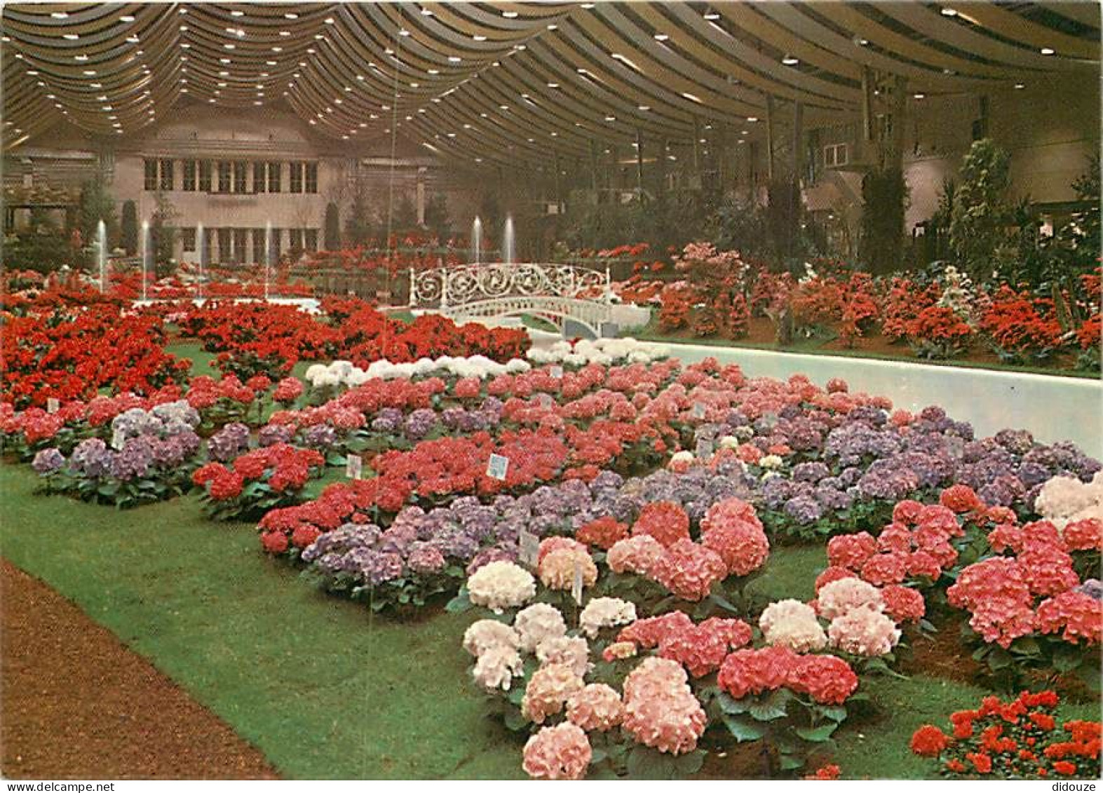 Belgique - Gand - Gent - Floralies Gantoises - Fleurs - Carte Neuve - CPM - Voir Scans Recto-Verso - Gent