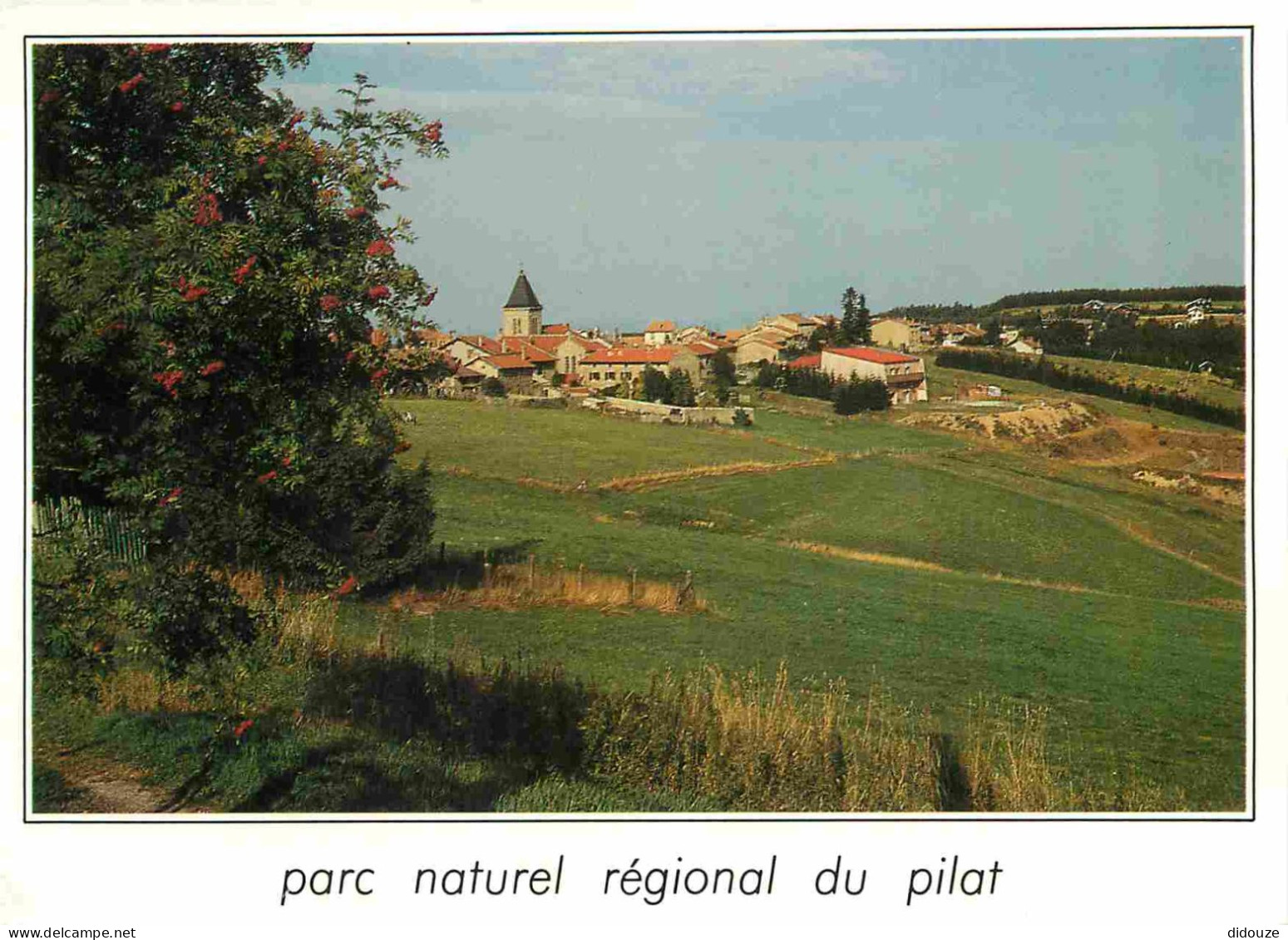 42 - Le Mont Pilat - Parc Naturel Régional Du Pilat - Le Bessat - Le Pré Du Curé - CPM - Flamme Postale - Voir Scans Rec - Mont Pilat