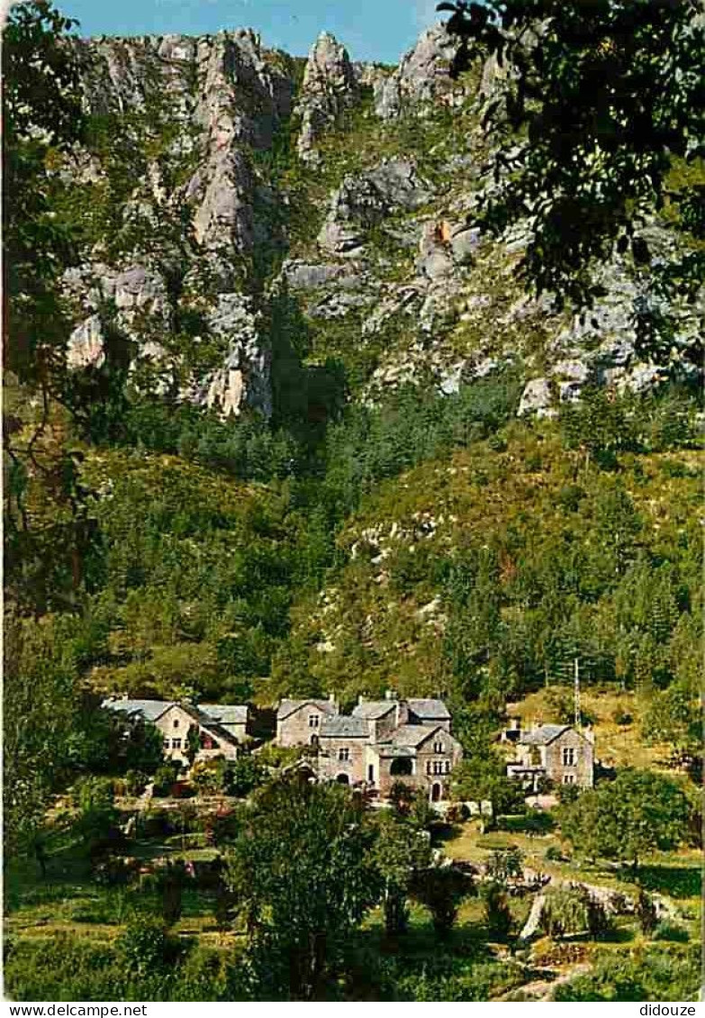 48 - Les Gorges Du Tarn - Pris Entre Les Escarpements Sauvage De La Falaise Et Le Tarn à La Belle Eau Claire Le Village  - Gorges Du Tarn