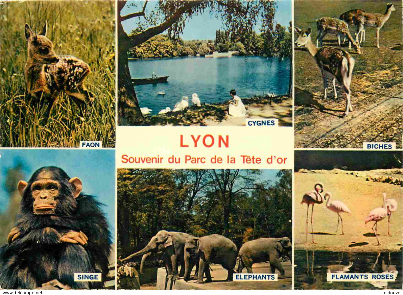 Animaux - Lyon - Parc De La Tête D'Or - Multivues - Zoo - CPM - Voir Scans Recto-Verso - Other & Unclassified