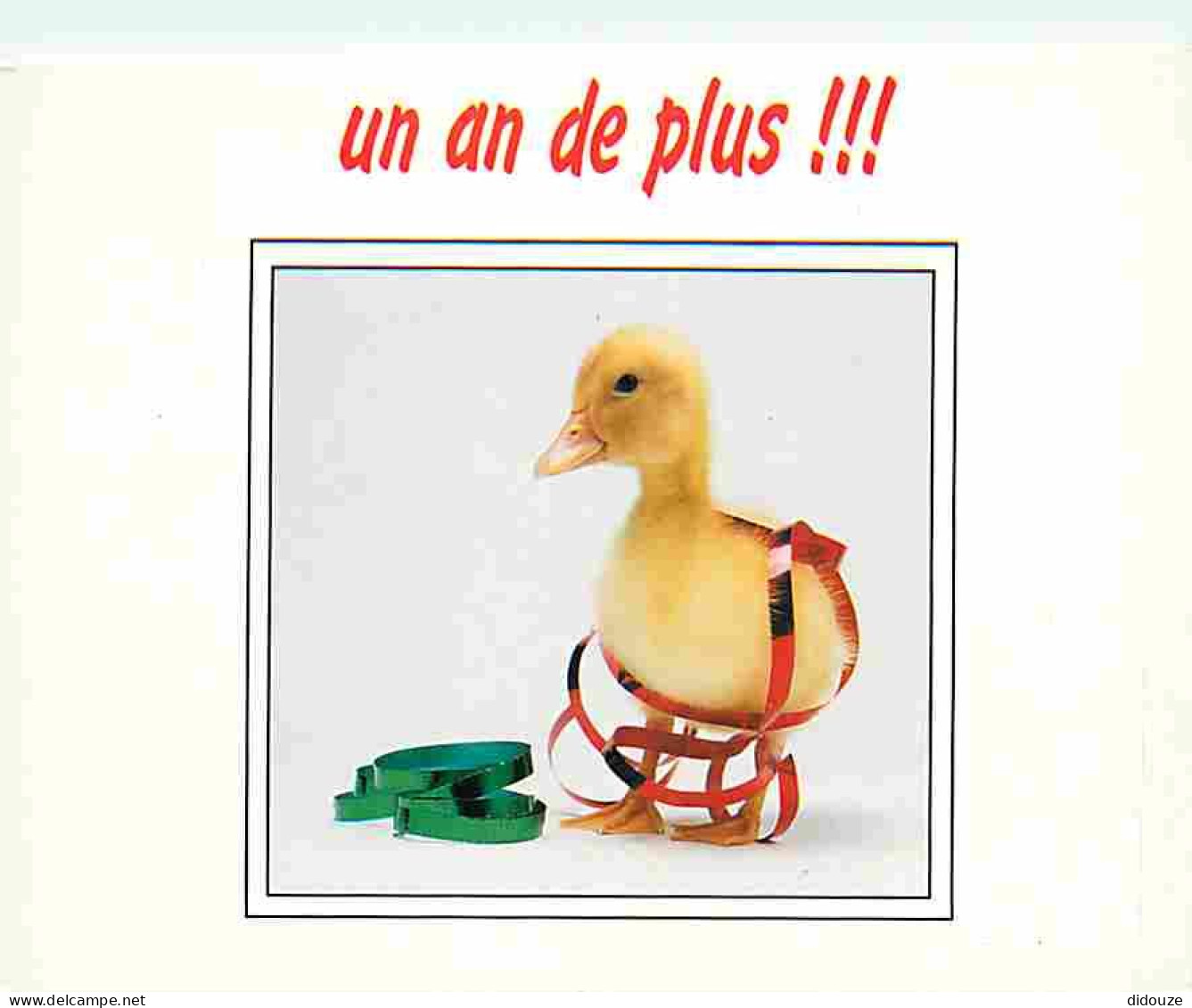 Animaux - Oiseaux - Canard - Caneton - CPM - Voir Scans Recto-Verso - Birds