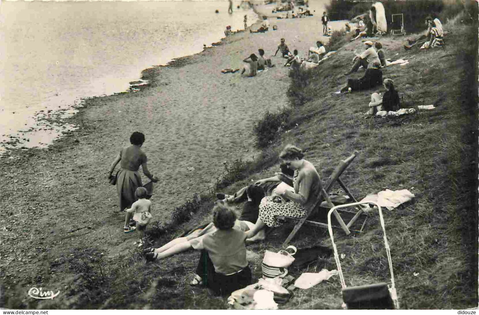 58 - Cosne Cours Sur Loire - La Plage - Animée - Scènes De Plage - Mention Photographie Véritable - Carte Dentelée - CPS - Cosne Cours Sur Loire