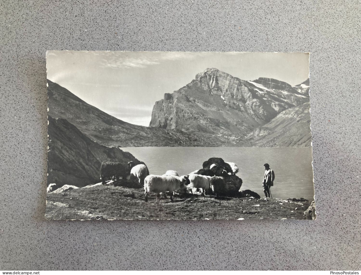 Gemmipass Kanderstag-Leukerbad Carte Postale Postcard - Wald