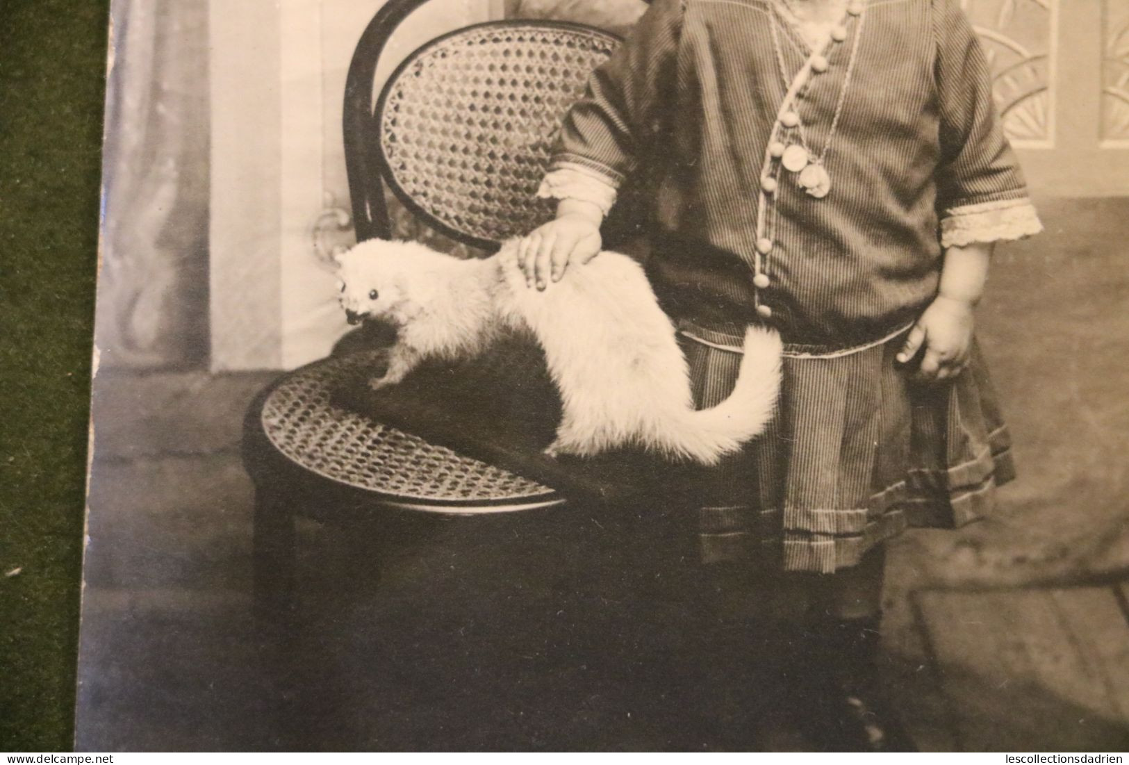 Carte Photo Petite Fille Posant Avec Un Furet Empaillé - Kind Met Een Opgezette Fret - Anonymous Persons