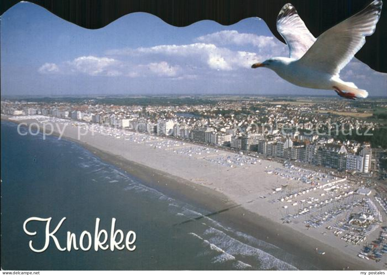 72497412 Knokke-Heist Luftaufnahme Strand Moewe Knokke-Heist - Autres & Non Classés