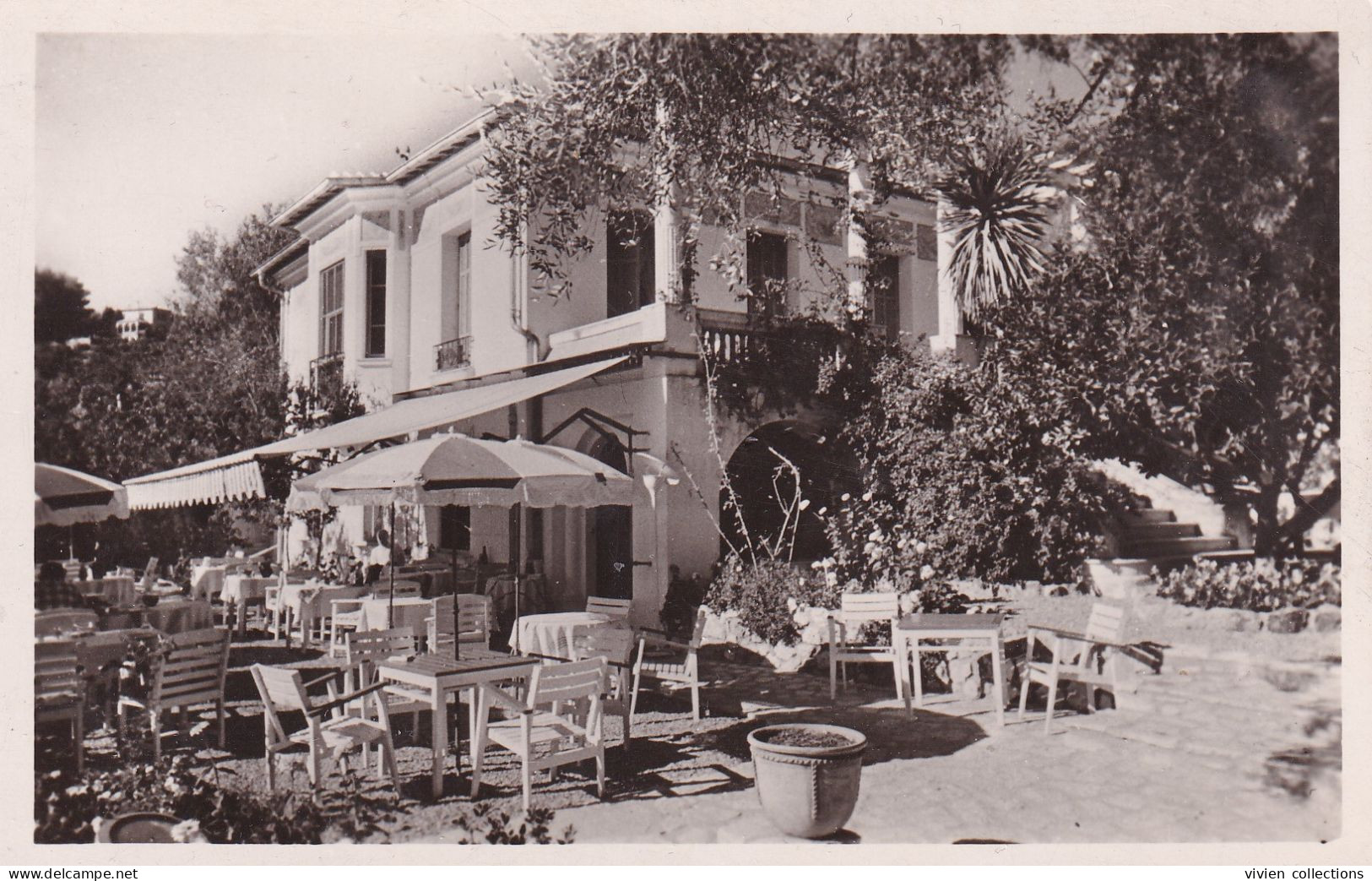 Saint Paul (06 Alpes Maritimes) Hôtel Restaurant Les Oliviers Route De La Colle - La Terrasse - Phot. Robert - Saint-Paul