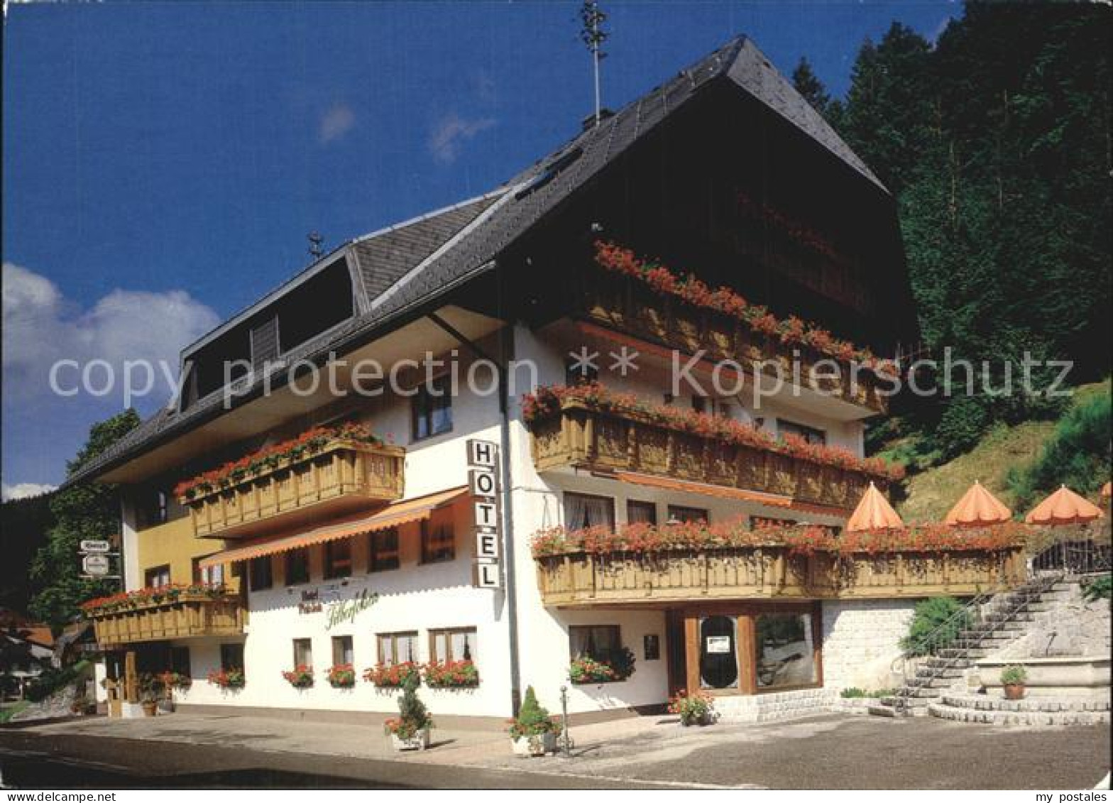 72496927 Menzenschwand Hotel Pension Silberfelsen Am Feldberg Schwarzwald Menzen - St. Blasien