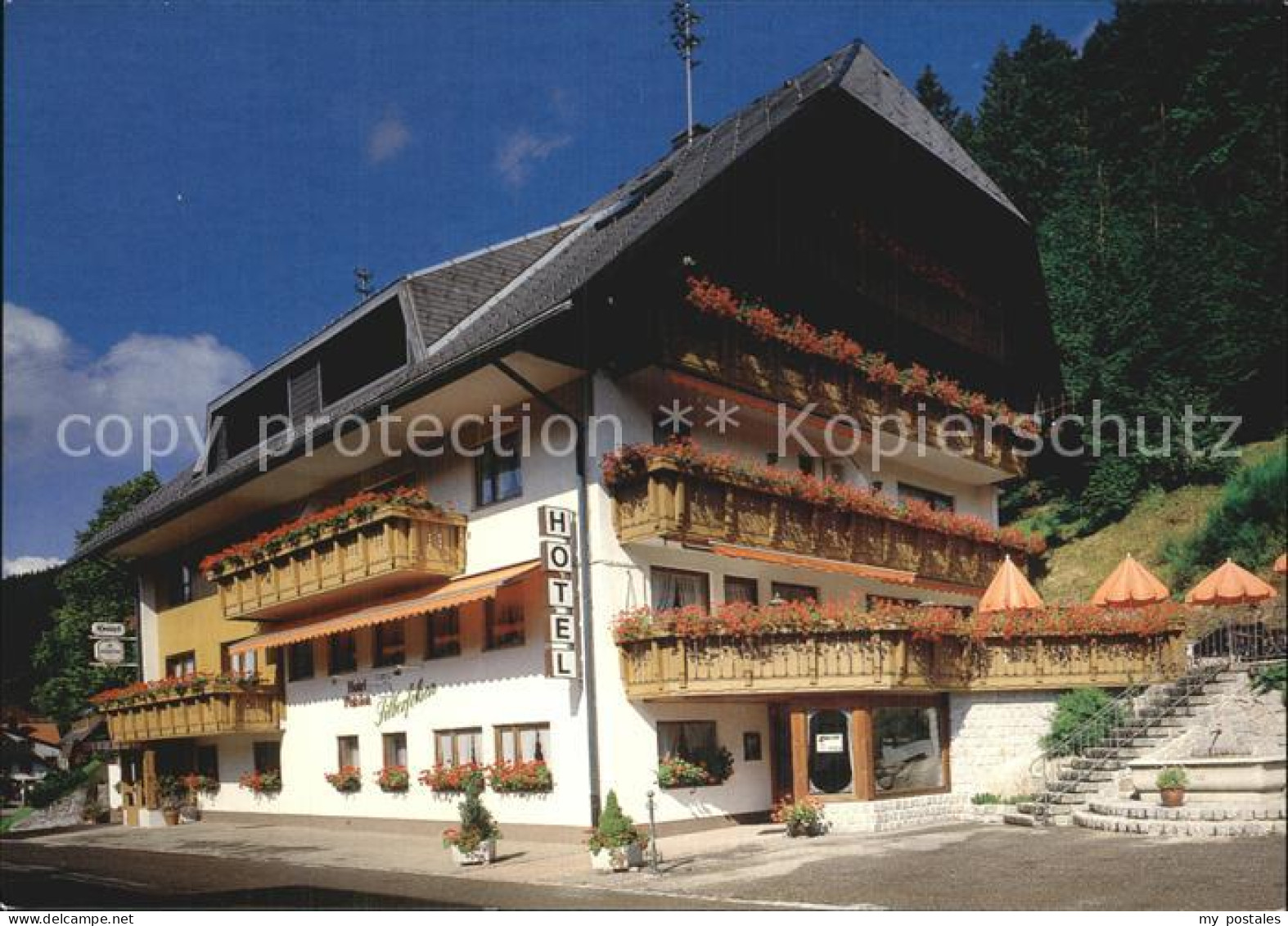 72496792 Menzenschwand Hotel Pension Silberfelsen Menzenschwand - St. Blasien