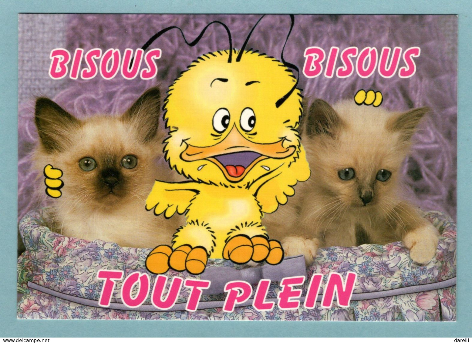 CP Chat - Bous Bisous Tout Plein - Création Imago - Cats