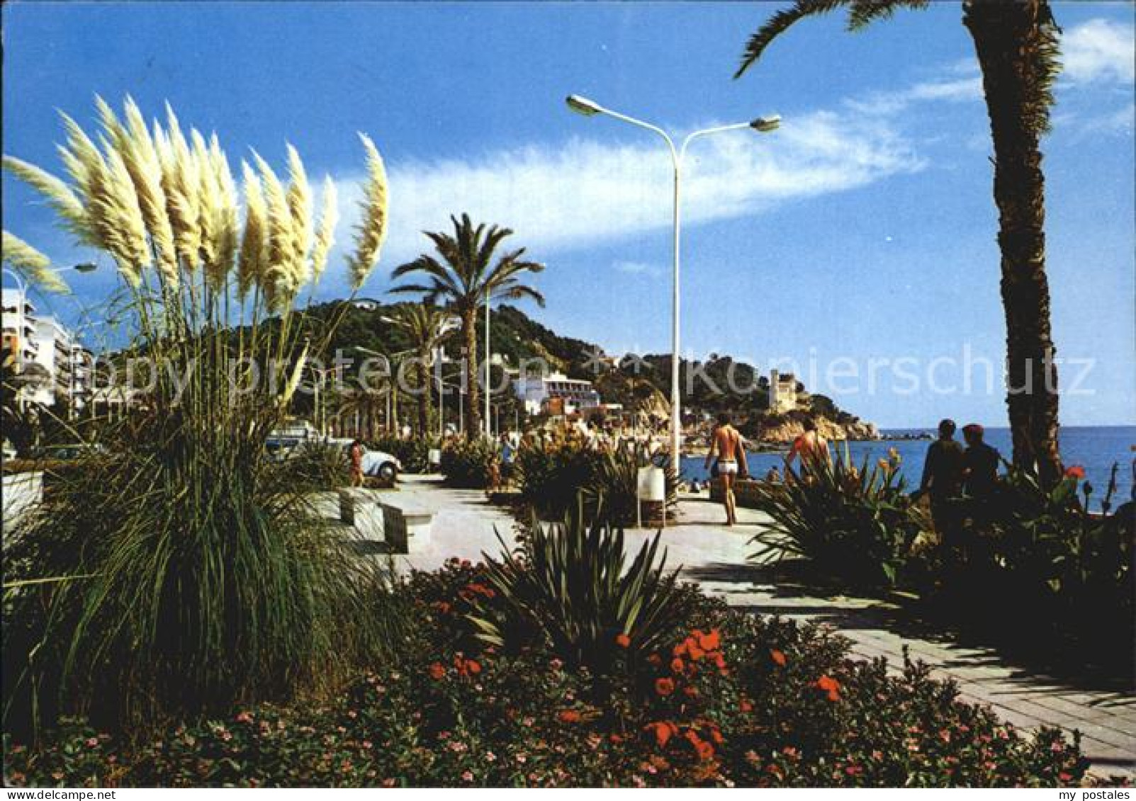 72496516 Lloret De Mar Paseo Promenade  - Autres & Non Classés