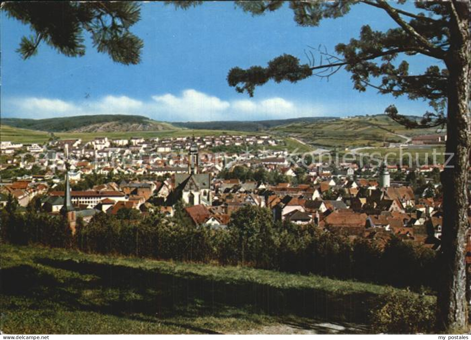 72496510 Tauberbischofsheim Panorama Tauberbischofsheim - Tauberbischofsheim