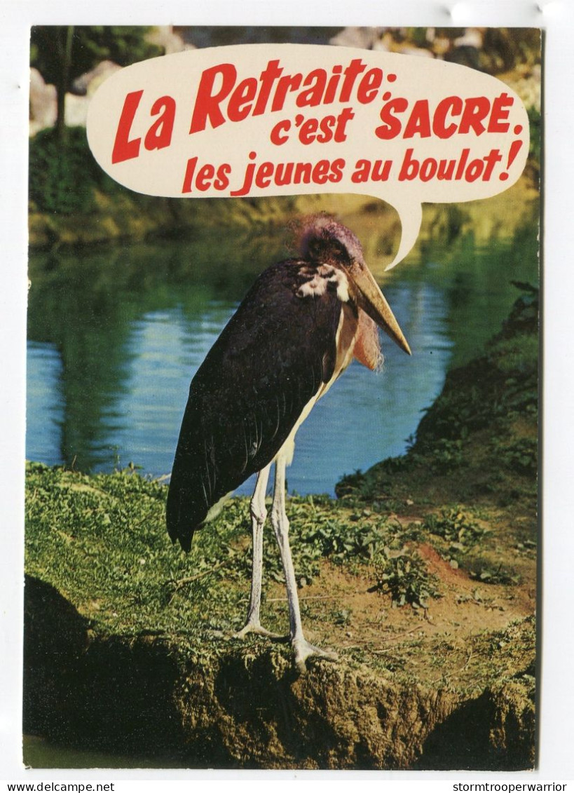 Oiseaux Marabout - La Retraite C'est Sacré Les Jeunes Au Boulot - Animaux Humoristiques - Birds