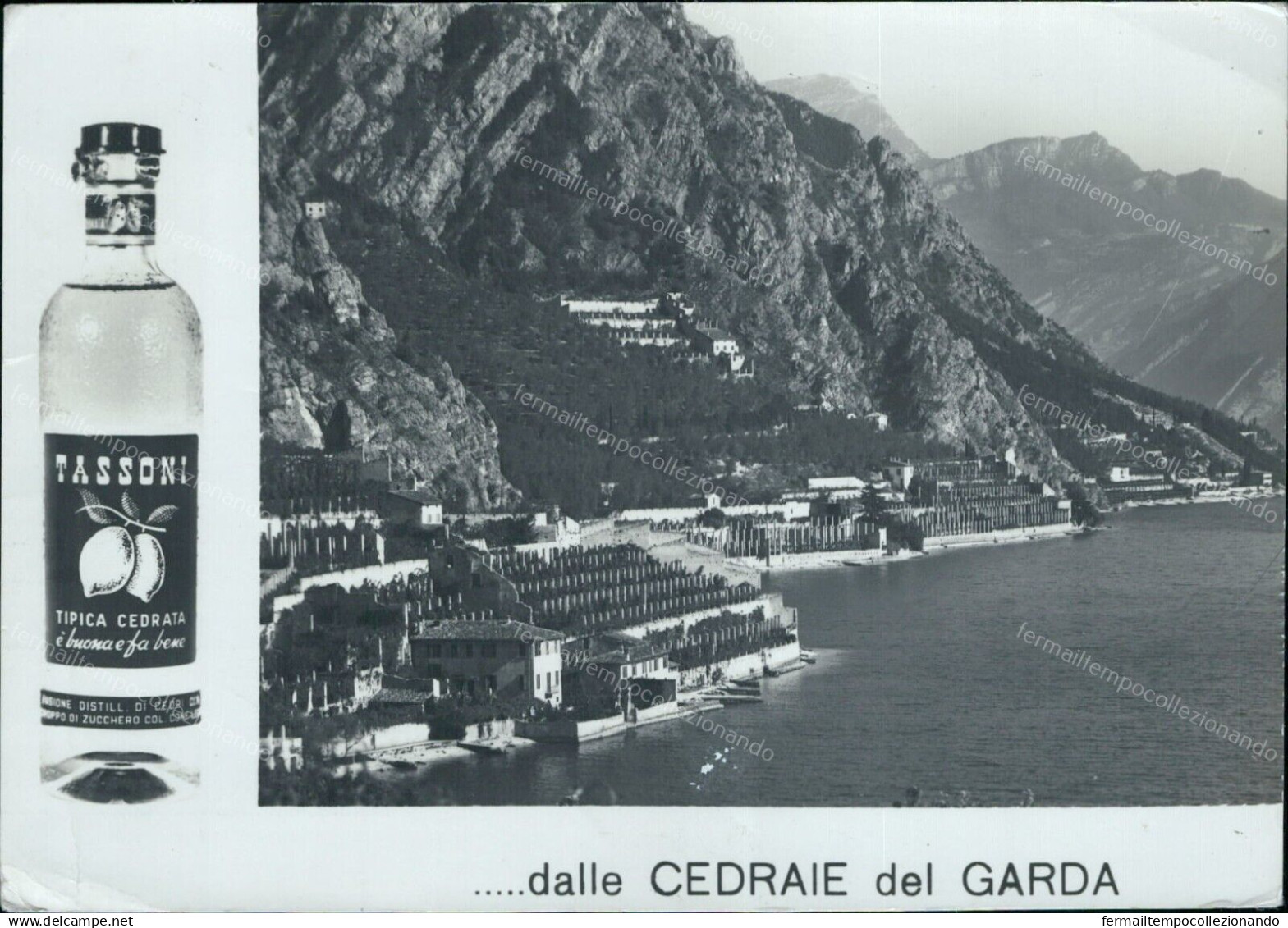 Cr524 Cartolina  Pubblicitaria Dalle Cedraie Del Garda Cedrata Tassoni Piega - Pubblicitari