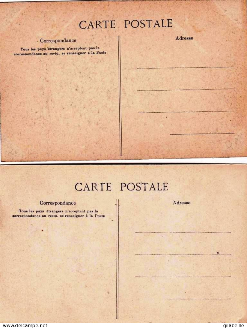 61 - Orne -  L Orne Pres De PUTANGES ( Environs D Argentan ) - LOT 2 CARTES - Putanges