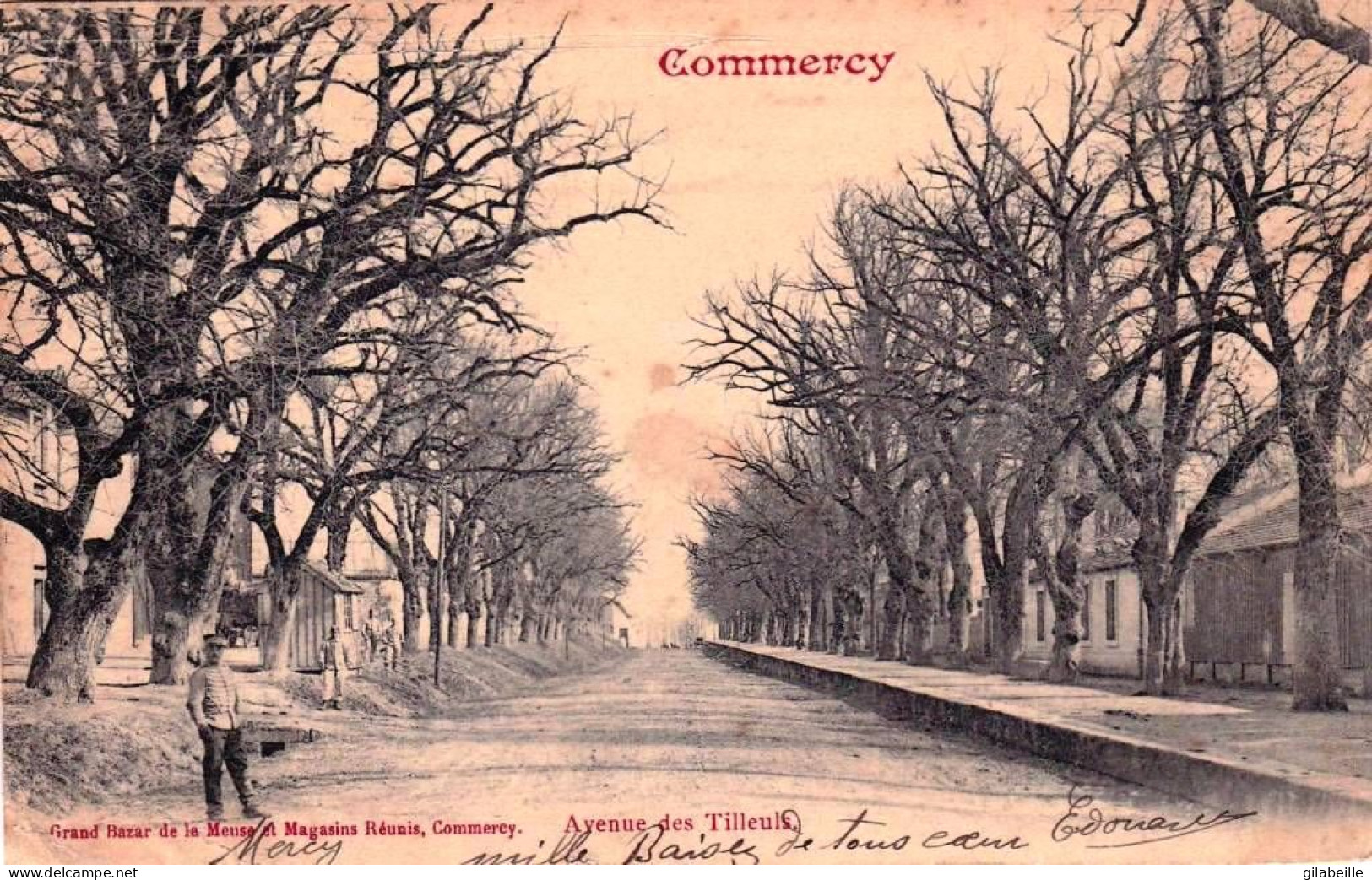 55 - Meuse -  COMMERCY -  Avenue Des Tilleuls - Commercy