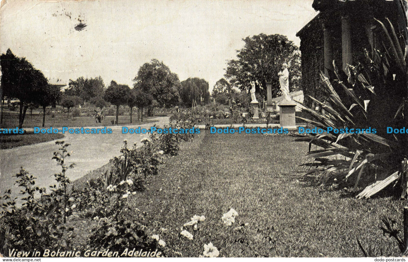 R098923 View In Botanic Garden. Adelaide. The Intelligence And Tourist Bureau - World