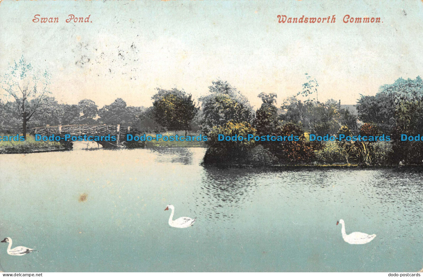 R098569 Swan Pond. Wandsworth Common. 1907 - World