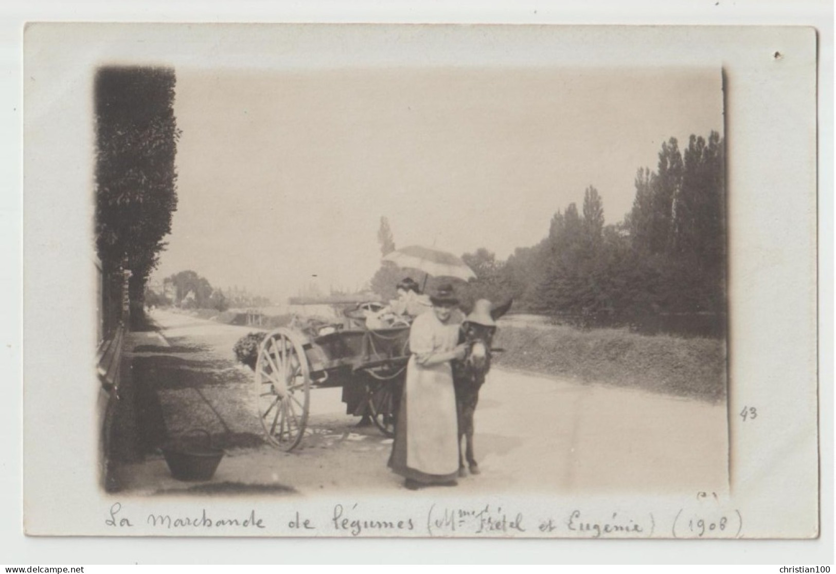 CARTE PHOTO DE 1908 - MARCHANDE AMBULANTE DE LEGUMES AVEC SA CHARRETTE - ATTELAGE D' ANE AVEC UN CHAPEAU DE PAILLE - - Street Merchants