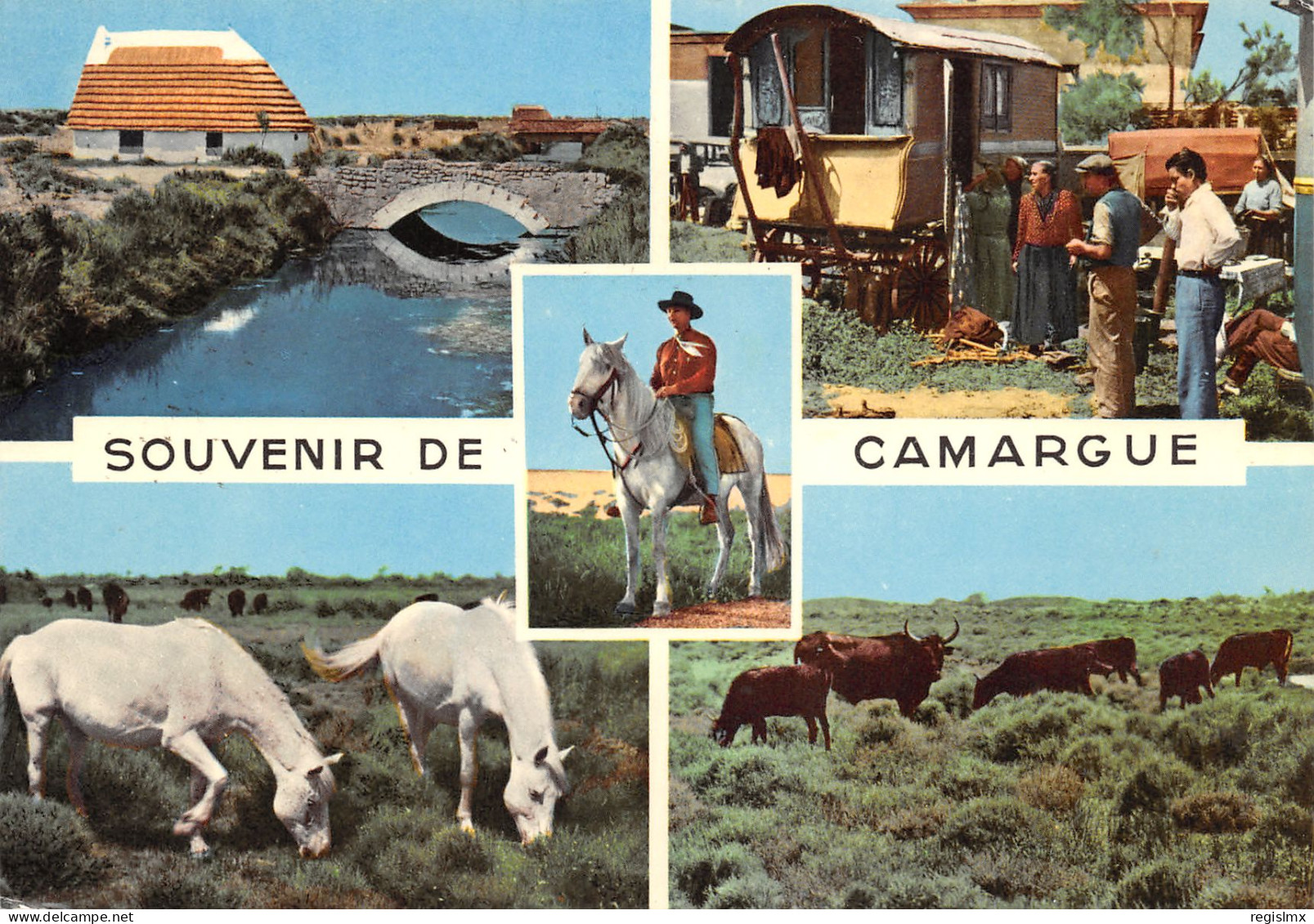 13-PANORAMA DE CAMARGUE-N°340-D/0161 - Sonstige & Ohne Zuordnung