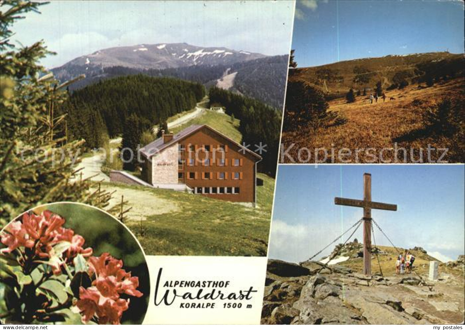 72495881 Koralpe Alpengasthof Waldrast Panorama Gipfelkreuz Alpenflora Oesterrei - Altri & Non Classificati