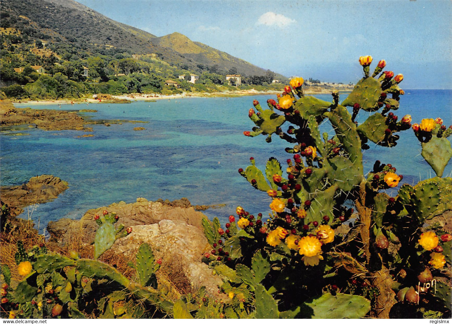 20-AJACCIO-N°341-C/0225 - Ajaccio