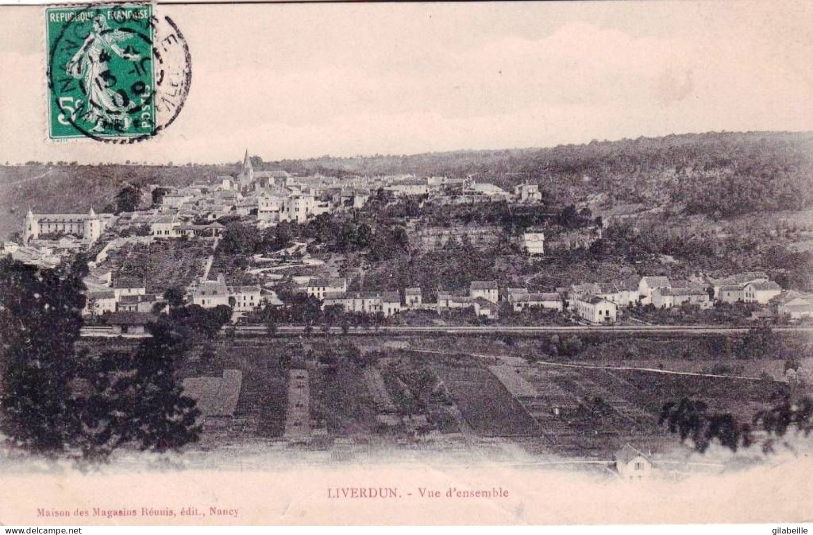 54 - Meurthe Et Moselle - LIVERDUN -  Vue D Ensemble - Liverdun