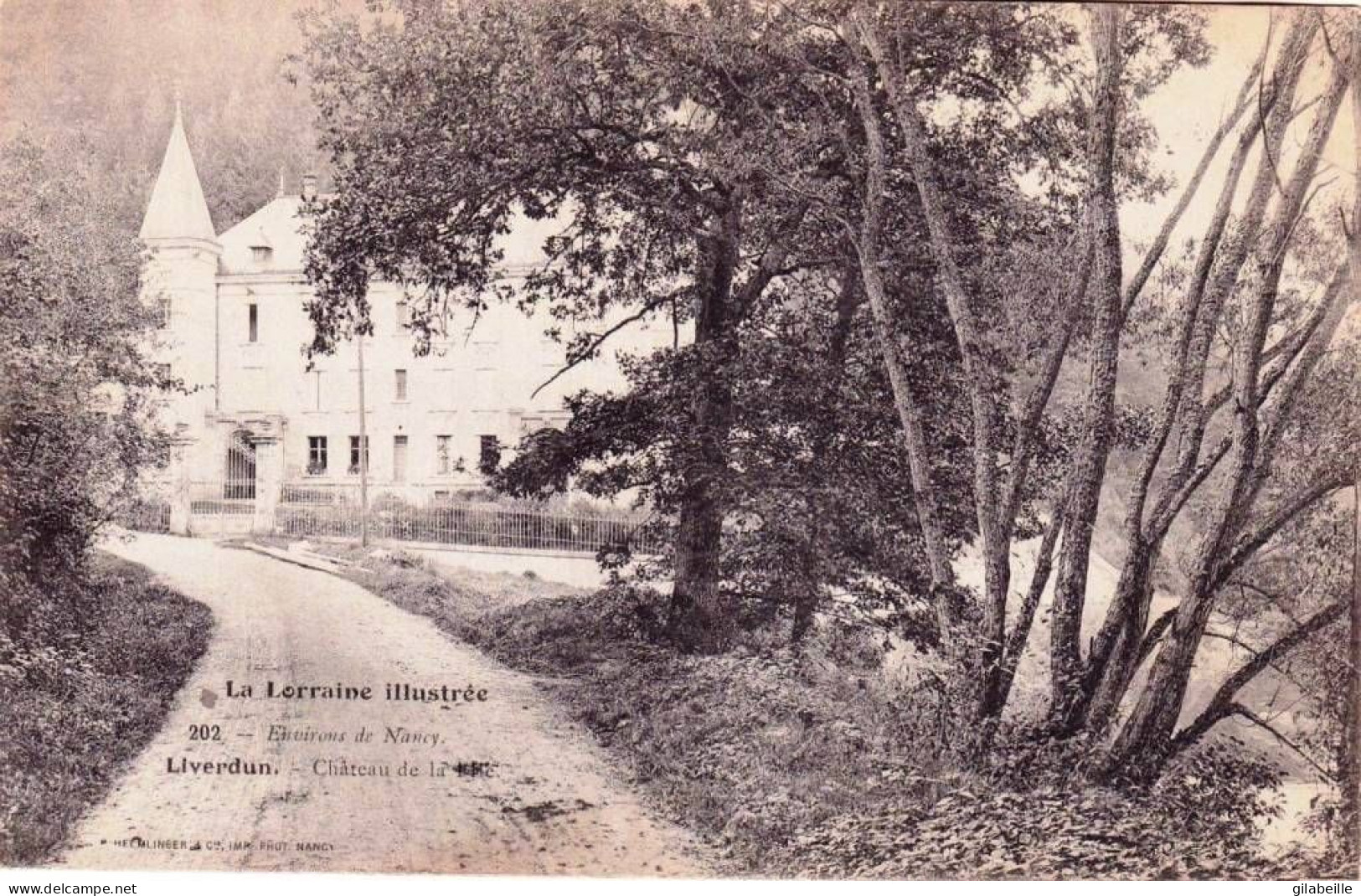 54 - Meurthe Et Moselle - LIVERDUN -  Chateau De La Flie - Liverdun