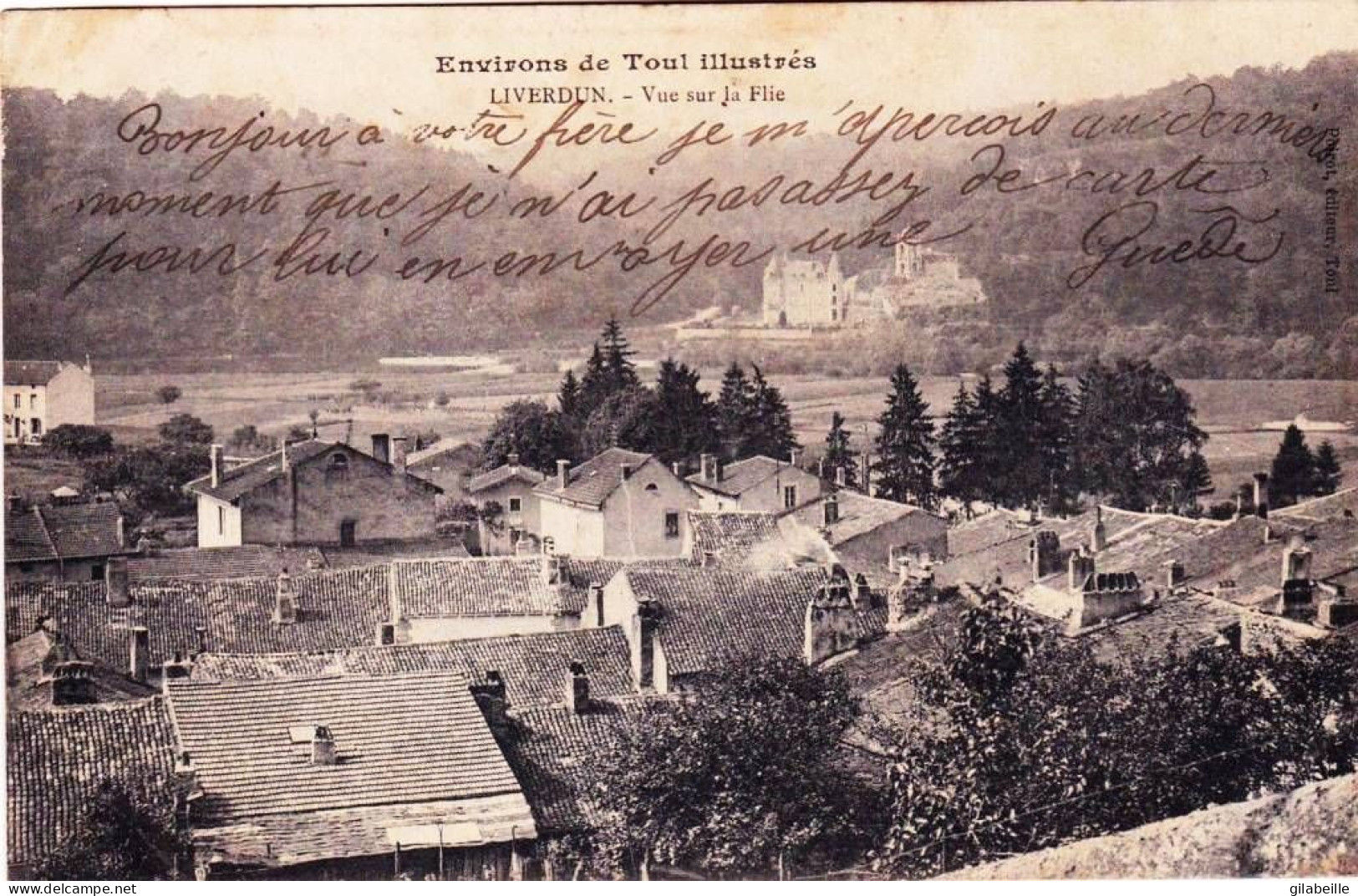 54 - Meurthe Et Moselle - LIVERDUN - Vue Sur La Flie - Liverdun