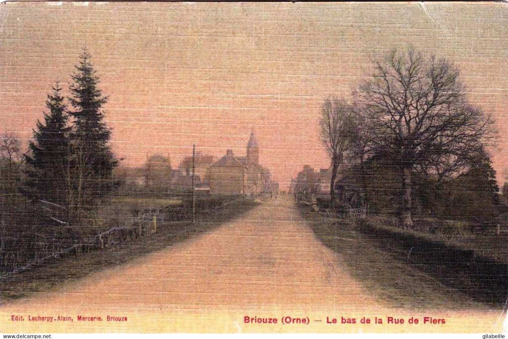 61 - Orne -  BRIOUZE -  Le Bas De La Rue De Flers - Carte Toilée - Briouze