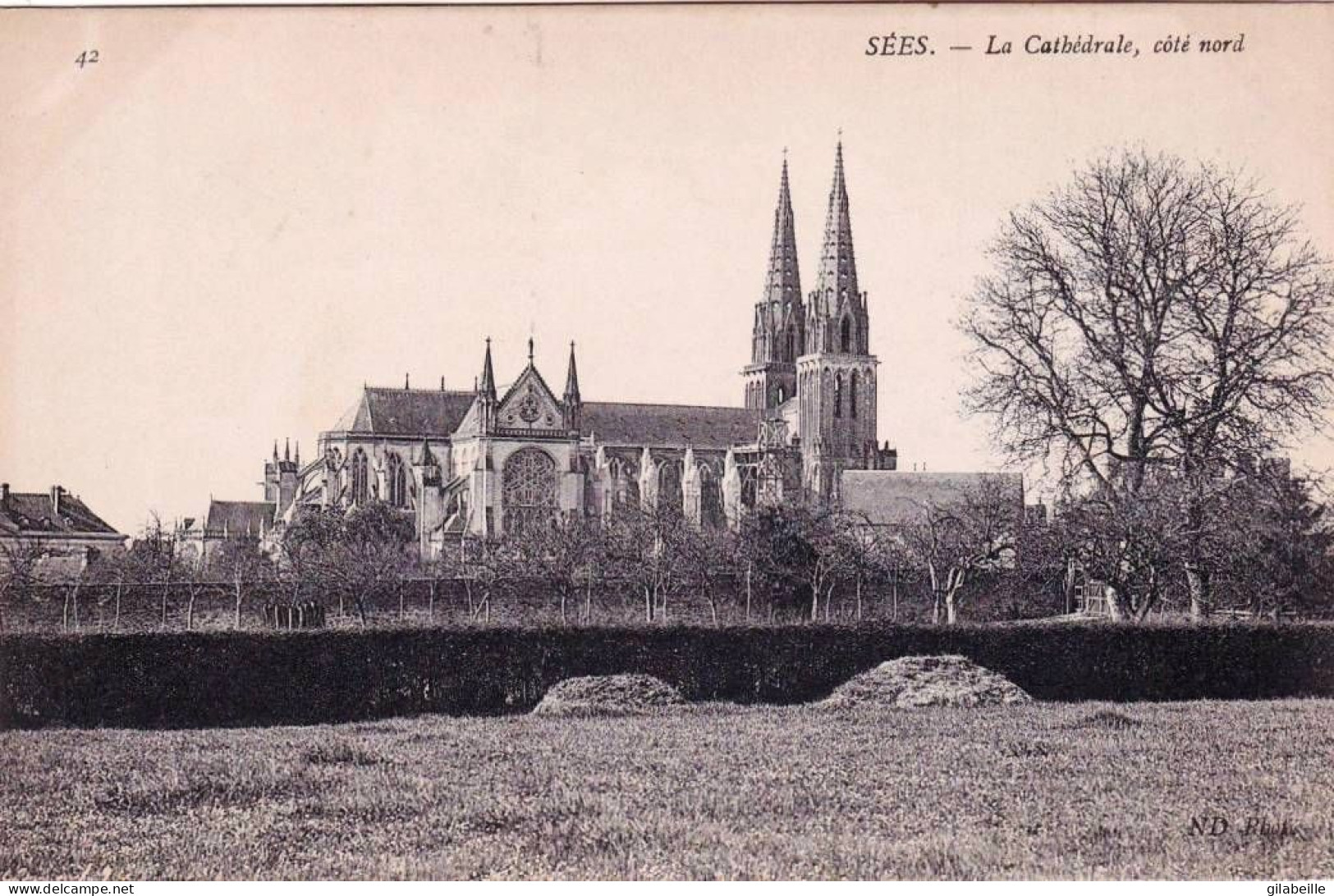 61 - Orne -  SEES - La Cathedrale - Coté Nord - Sees